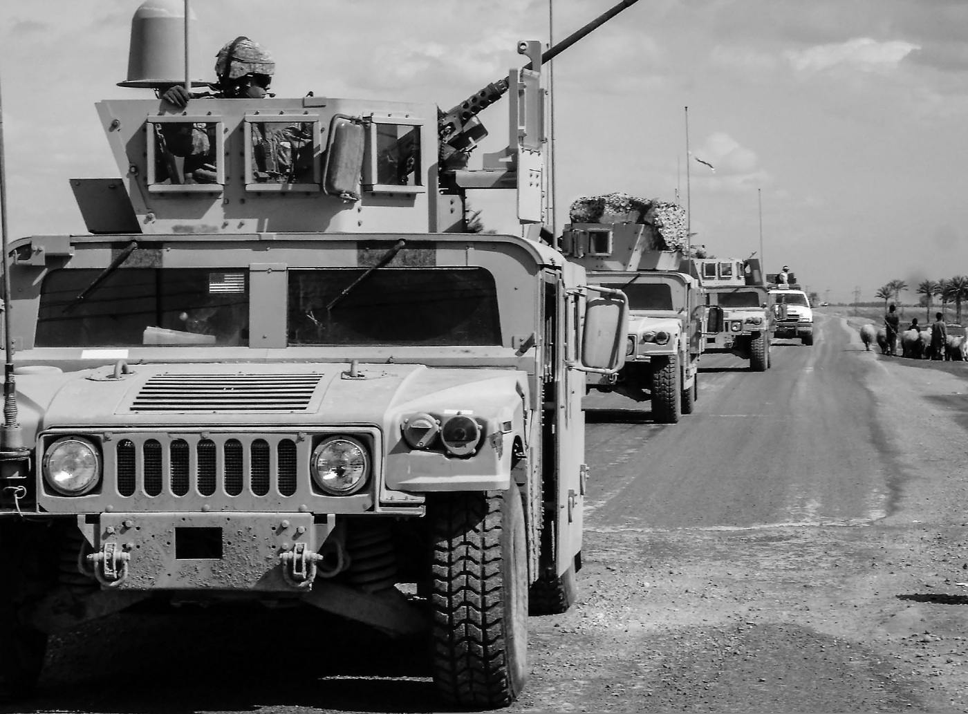 vehicle 3104459