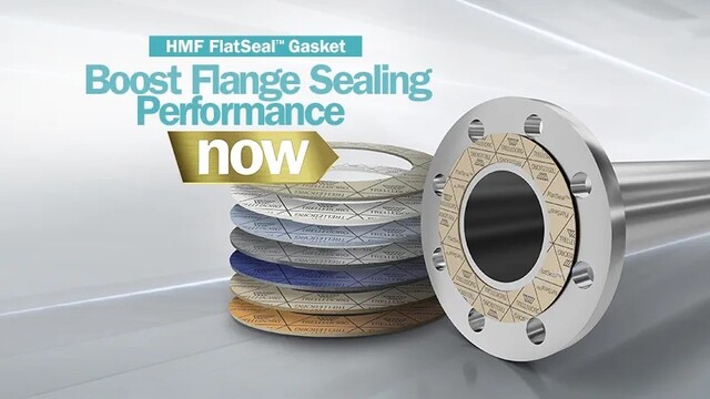 HMF Flat Seals